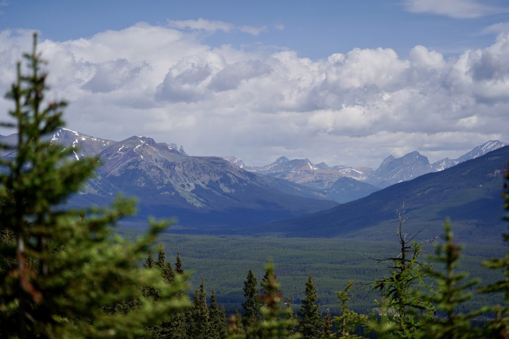 A view while beginning the hike up Fairview Mountain