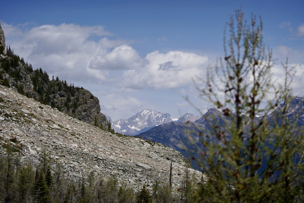 The terrain becoming rockier towards the top of Fairview Mountain