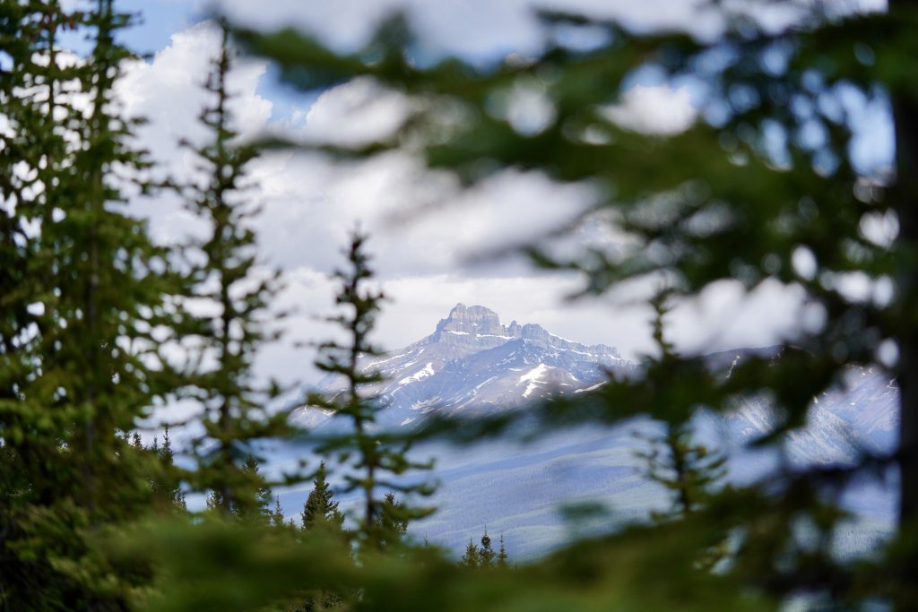 A view of a distant mountain through the trees on Fairview Mountain