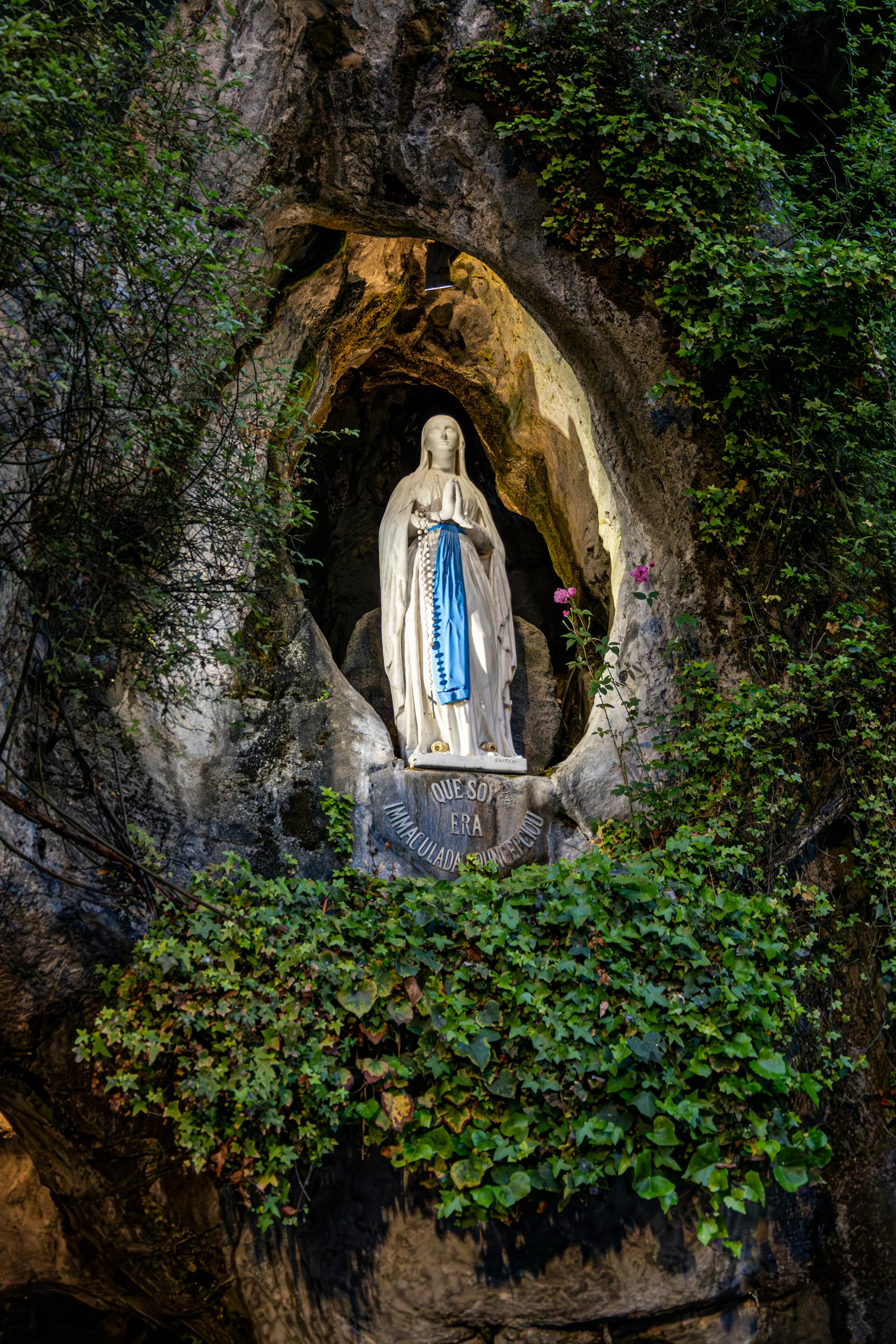 Illuminated Virgin Mary statue in a rocky grotto, surrounded by greenery.
